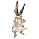 Hansa Aussie Puppet Pack #2